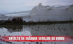 Antalya’da sağanak seraları da vurdu