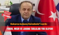 Kokarca kabusu Karadeniz’i sardı: Fındık, mısır ve lahana tarlaları yok oluyor!