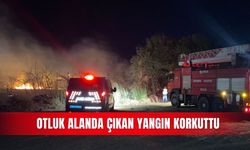 Otluk alanda çıkan yangın korkuttu
