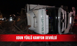 Odun yüklü kamyon devrildi
