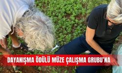 Dayanışma ödülü Müze Çalışma Grubu’na