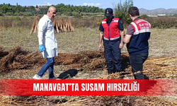 Manavgat’ta susam hırsızlığı