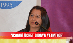 ‘Asgari ücret gıdaya yetmiyor’