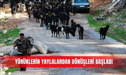 Yörüklerin yaylalardan dönüşleri başladı