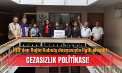 İHD’den Rojin Kabaiş dosyasıyla ilgili eleştiri: Cezasızlık politikası!