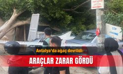 Antalya’da ağaç devrildi: Araçlar zarar gördü