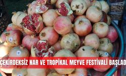 Çekirdeksiz Nar ve Tropikal Meyve Festivali başladı