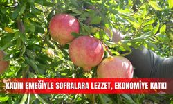 Kadın emeğiyle sofralara lezzet, ekonomiye katkı