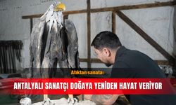 Atıktan sanata: Antalyalı sanatçı doğaya yeniden hayat veriyor