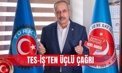 TES-İŞ'ten üçlü çağrı