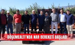 Döşemealtı’nda nar bereketi başladı
