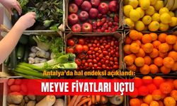 Antalya’da hal endeksi açıklandı: Meyve fiyatları uçtu