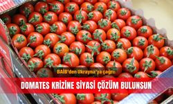 BAİB’den Ukrayna’ya çağrı: Domates krizine siyasi çözüm bulunsun