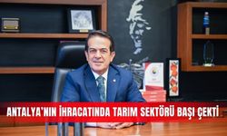 Antalya’nın ihracatında tarım sektörü başı çekti