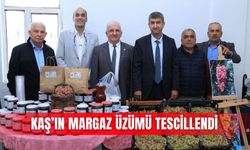 Kaş’ın Margaz üzümü tescillendi
