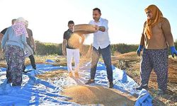 Manavgat susamı yoğun ilgi görüyor