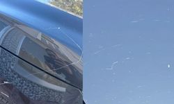 Gökyüzünden örümcek ağı yağdı