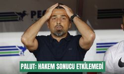 Palut: Hakem sonucu etkilemedi