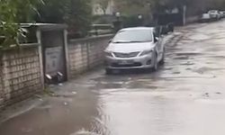 O il hasretle beklediği yağmura kavuştu