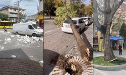 Fırtına ağaçları devirdi, çatıları uçurdu