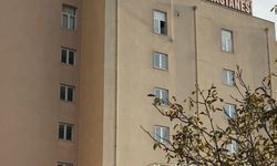 Tavuk pilav yiyen 8 kişi hastanelik oldu