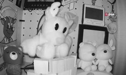 Japonya'da 6,7 büyüklüğünde deprem: Tsunami uyarısı yapıldı