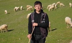 Üniversiteyi okudu, baba ocağına dönüp sürü sahibi oldu