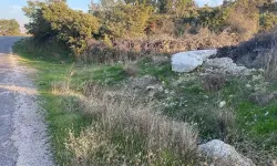 Çanakkale’de boş arazide bebek cesedi bulundu