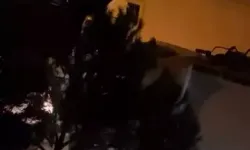 Çöp kamyonu şoförüne levyeyle saldırdılar