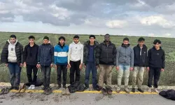 Edirne’de 10 kaçak göçmen yakalandı