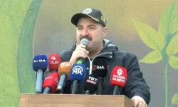 Varank: Yanan ormanlar sadece orman yapılabilir