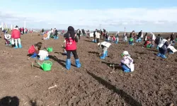 Silivri’de 15 bin fidan toprakla buluştu