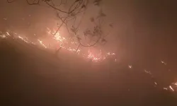 Hatay’da düşen yıldırım sonucu ormanda yangın çıktı