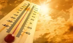 Ekimde en yüksek sıcaklık Cizre'de tespit edildi