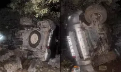 Mardin’de kamyonet şarampole devrildi: 6 yaralı