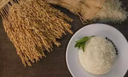 İpsala pirinci, AB Coğrafi İşaret Tescili aldı