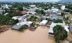Vietnam'da sel nedeniyle hayatını kaybedenlerin sayısı 91’e yükseldi