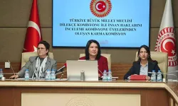 Komisyonda 'İmralı ziyareti' tartışması