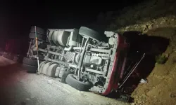 TIR şarampole devrildi