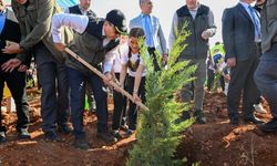 Yeşil vatan seferberliği