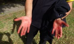 Eline aldığı bıçakla yoldan geçenlere dehşeti yaşattı