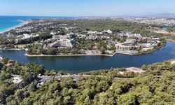 Endemik türlere ev sahipliği yapan ormanlık alanlar tel çitle çevrilecek