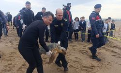 Yeniden özgürlüğe kavuştu