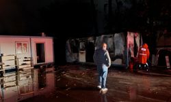 Manavgat'ta palmiyeye düşen yıldırım yangına neden oldu