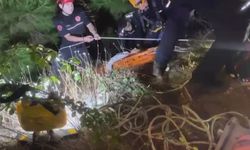 Uçurumdan düşüp mahsur kalan 2 kişi kurtarıldı