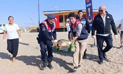 Caretta caretta denizin maviliğine kulaç açtı