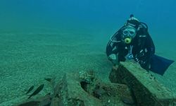 Profesör deniz dibinde taşlardan balıklara yuva yaptı: 12 tür barış içinde yaşıyor