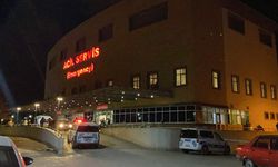 ‘Hayvan otlatma’ kavgası kanlı bitti: Komşusunu öldürüp intihar etti