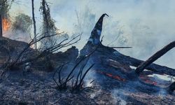 Artvin Hopa’da 5 hektarlık alanı küle çeviren yangınla mücadele sürüyor