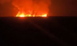 Kuş cenneti alevlere teslim! Nehil Sazlığı yanıyor